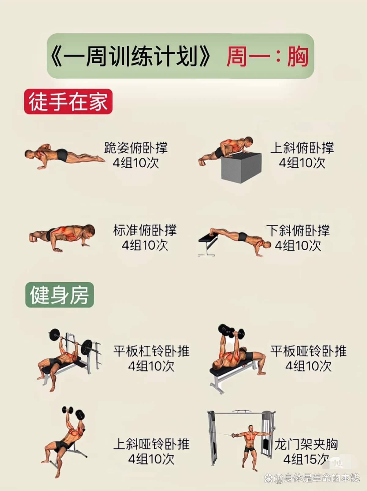 成年人是否可以通过篮球训练改善身高_0